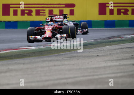 Budapest, Ungheria. 27 Luglio, 2014. FERNANDO ALONSO della Spagna e la Scuderia Ferrari di unità durante il periodo della Formula 1 Gran Premio di Ungheria 2014 sul circuito di Hungaroring a Budapest, Ungheria. Credito: James Gasperotti/ZUMA filo/Alamy Live News Foto Stock