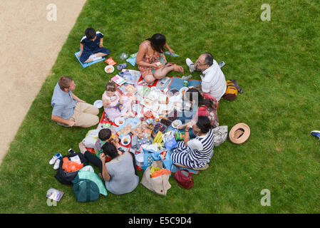 Queen Elizabeth Olympic Park, London, Regno Unito. Il 27 luglio 2014. 'Marking il punto a metà strada tra Londra e Rio Olimpiadi, il grande carnevale britannica creerà un evento fantastico di danza, musica infettiva, prestazioni e costume che tutta la famiglia può godere di' le persone godono di un pic-nic sul prato all odierna speciale evento gratuito, il Great British carnevale di Stratford. Credito: Matteo Chattle/Alamy Live News Foto Stock