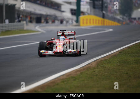 Budapest, Ungheria. 27 Luglio, 2014. FERNANDO ALONSO della Spagna e la Scuderia Ferrari di unità durante il periodo della Formula 1 Gran Premio di Ungheria 2014 sul circuito di Hungaroring a Budapest, Ungheria. Credito: James Gasperotti/ZUMA filo/Alamy Live News Foto Stock