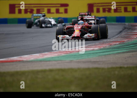 Budapest, Ungheria. 27 Luglio, 2014. FERNANDO ALONSO della Spagna e la Scuderia Ferrari di unità durante il periodo della Formula 1 Gran Premio di Ungheria 2014 sul circuito di Hungaroring a Budapest, Ungheria. Credito: James Gasperotti/ZUMA filo/Alamy Live News Foto Stock