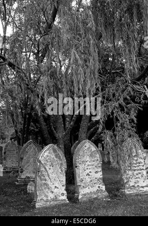 Vecchie lapidi da 1800 si trovano in questa Nuova Inghilterra nel cimitero di Cape Cod, Massachusetts (MA), STATI UNITI D'AMERICA. B&W immagine. Foto Stock