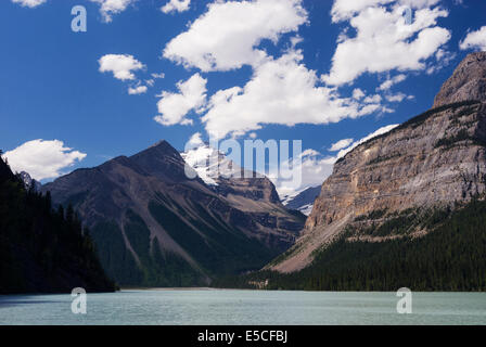 Elk203-2511 Canada, British Columbia, Monte Robson Provincial Park Foto Stock