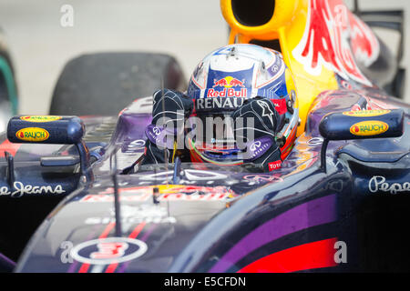 Mogyorod, Ungheria. 27 Luglio, 2014. Red Bull driver di Formula Uno di Daniel Ricciardo dell Australia reagisce dopo aver vinto la F1 grande Prix ungherese a Mogyorod, Ungheria il 27 luglio 2014. Daniel Ricciardo ha vinto il Gran Premio di Ungheria in 1 ora 53 minuti e 5.058 secondi. Questa vittoria segna Ricciardo la seconda vittoria della stagione, dopo il Gran Premio del Canada in giugno. Credito: Jure Makovec/Xinhua/Alamy Live News Foto Stock