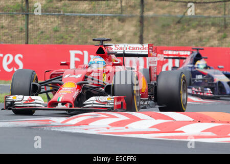 Mogyorod, Ungheria. 27 Luglio, 2014. Ferrari di Formula Uno Pilota Fernando Alonso di Spagna spinge la sua auto in F1 grande Prix ungherese a Mogyorod, Ungheria il 27 luglio 2014. Fernando Alonso ha concluso al secondo posto dietro il pilota Red Bull Daniel Ricciardo. Credito: Attila Volgyi/Xinhua/Alamy Live News Foto Stock