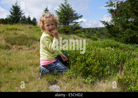 Bambino ragazza bionda di picking e di mangiare mirtilli nella foresta di estate Foto Stock