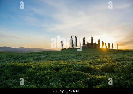 Agriturismo con cipressi, sunrise, Sito Patrimonio Mondiale dell'UNESCO Val d&#39;Orcia, vicino a Pienza, provincia di Siena, Toscana, Italia Foto Stock