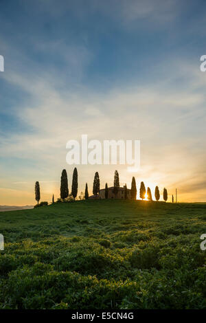 Agriturismo con cipressi, sunrise, Sito Patrimonio Mondiale dell'UNESCO Val d&#39;Orcia, vicino a Pienza, provincia di Siena, Toscana, Italia Foto Stock