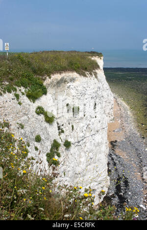 Chalk Cliff sulla baia di pietra, BROADSTAIRS KENT, Inghilterra Foto Stock