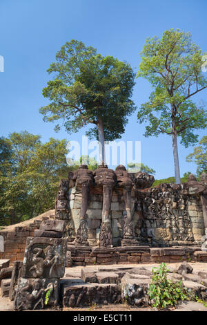 Bassorilievi presso la terrazza degli elefanti, Angkor Thom, Siem Reap, Cambogia Foto Stock