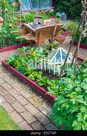 Vista su un piccolo letto sollevata coltivazioni di zucchine, lattuga e cetriolo outdoor in antiche cloche, Inghilterra luglio. Foto Stock