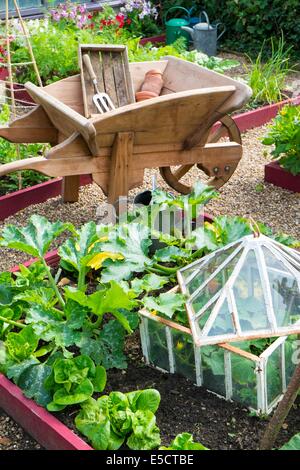 Vista su un piccolo letto sollevata coltivazioni di zucchine, lattuga e cetriolo outdoor in antiche cloche, Inghilterra luglio. Foto Stock