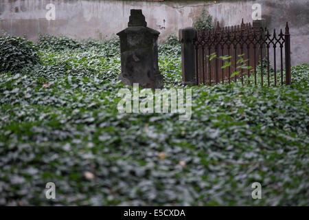 Lesser Town cimitero (Malostransky hrbitov) è visto a Praga, Repubblica ceca, 24 luglio 2014. (CTK foto/Katerina Sulova) Foto Stock