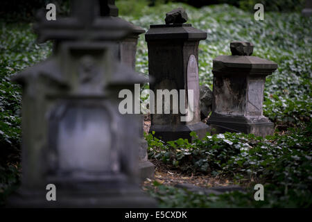 Lesser Town cimitero (Malostransky hrbitov) è visto a Praga, Repubblica ceca, 24 luglio 2014. (CTK foto/Katerina Sulova) Foto Stock