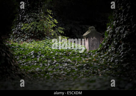 Lesser Town cimitero (Malostransky hrbitov) è visto a Praga, Repubblica ceca, 24 luglio 2014. (CTK foto/Katerina Sulova) Foto Stock