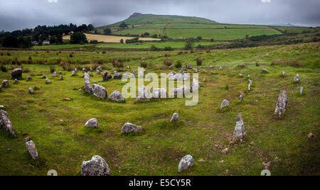 Yellowmead Età del Bronzo concentrici cerchi di pietra sul Dartmoor Devon, Regno Unito Foto Stock