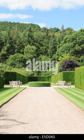 Giardino formale con siepi di bosso e panche di legno a Rosemoor, Torrington, Devon, Inghilterra, Regno Unito Foto Stock