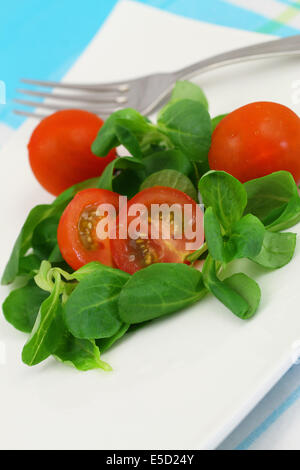 Il mais con insalata di pomodori ciliegia, close up Foto Stock