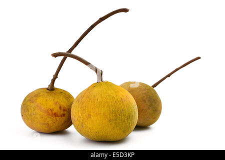 Santol frutta Foto Stock