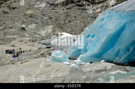 Jostedal, Norvegia. 16 Luglio, 2014. I turisti a stare di fronte del ghiacciaio Nigardsbreen braccio del ghiacciaio di Jostedal Jostedalsbreen nel Parco Nazionale di Jostedal vicino, Norvegia, 16 luglio 2014. Jostedal Glacier è il più grande ghiacciaio in Europa continentale. Foto: Patrick Pleul /dpa - NESSUN SERVIZIO DI FILO-/dpa/Alamy Live News Foto Stock