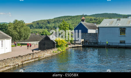 GLENFIDDICH WHISKY DISTILLERY DUFFTOWN SCOZIA CLEARING erbacce di acqua dal lago di raffreddamento Foto Stock