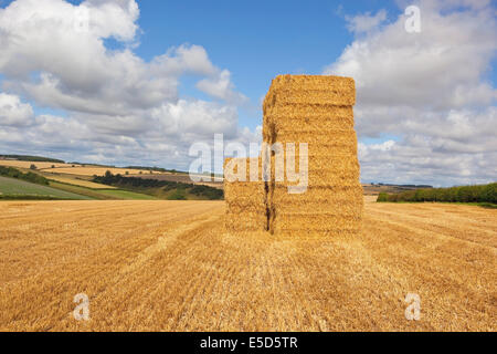 Una pila alta di balle di paglia in piedi in un raccolto di recente golden campo di stoppie in estate. Foto Stock