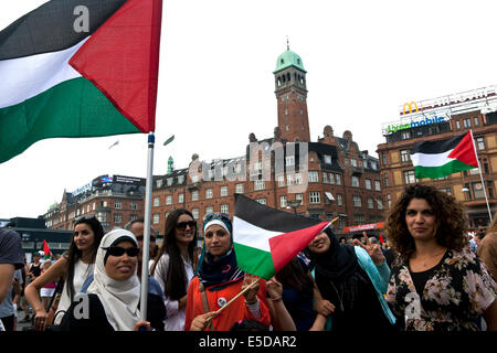 Copenhagen, Danimarca. 28 Luglio, 2014. Alcuni 4 - 5000 persone si radunano a Copenaghen la piazza del municipio di questo pomeriggio a sostegno della Palestina e di protesta contro Israele di bombardamenti di Gaza. La manifestazione è stata organizzata dalla Danish-Palestinian Associazione di amicizia e aiuto di azione in Danimarca. Credito: OJPHOTOS/Alamy Live News Foto Stock