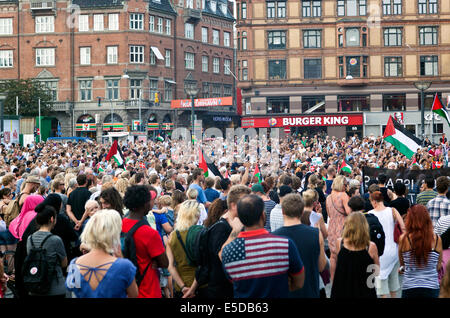 Copenhagen, Danimarca. 28 Luglio, 2014. Alcuni 4 - 5000 persone si radunano a Copenaghen la piazza del municipio di questo pomeriggio a sostegno della Palestina e di protesta contro Israele il bombardamento di Gaza. La manifestazione è stata organizzata dalla Danish-Palestinian Associazione di amicizia e aiuto di azione in Danimarca. Credito: OJPHOTOS/Alamy Live News Foto Stock