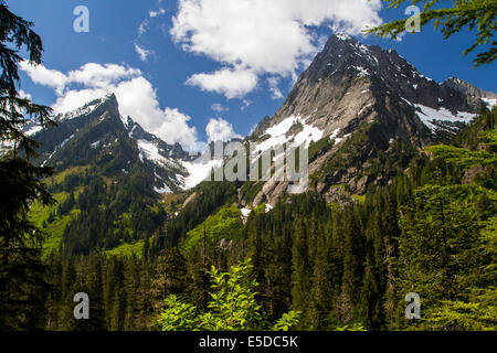 Due cime innevate circondato da foresta, nella cascata gamma nello stato di Washington Foto Stock