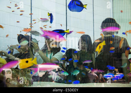 Tokyo, Giappone - I pedoni vedere i pesci di Okinawa all'interno della 14-ton serbatoio acqua all'ingresso del Sony edificio sulla luglio 28, 2014. Il '47th Sony Acquario' è stato allestito un acquario di Sony nella costruzione della outdoor spazio eventi che visualizza le creature di Okinawa Churaumi Aquarium. Il serbatoio è in grado di ricreare l'ecologia delle barriere coralline e vita marina delle isole Kerama. L'evento apporta diverse attività per i bambini e un film di Isole Kerama girato in 4k. Il quarantasettesimo Sony in Acquario Tokyois aperto dal 25 luglio al 31 agosto. © Rodrigo Reyes Marin/AFLO/Alamy Live News Foto Stock