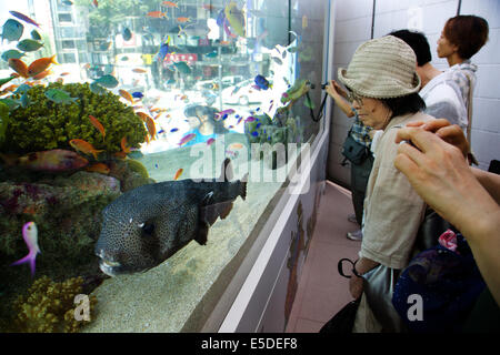 Tokyo, Giappone - I pedoni vedere i pesci di Okinawa all'interno della 14-ton serbatoio acqua all'ingresso del Sony edificio sulla luglio 28, 2014. Il '47th Sony Acquario' è stato allestito un acquario di Sony nella costruzione della outdoor spazio eventi che visualizza le creature di Okinawa Churaumi Aquarium. Il serbatoio è in grado di ricreare l'ecologia delle barriere coralline e vita marina delle isole Kerama. L'evento apporta diverse attività per i bambini e un film di Isole Kerama girato in 4k. Il quarantasettesimo Sony in Acquario Tokyois aperto dal 25 luglio al 31 agosto. © Rodrigo Reyes Marin/AFLO/Alamy Live News Foto Stock