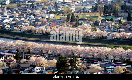 Affacciato sulla città di Kakunodate con la fioritura dei ciliegi in fiore in primavera, Akita, Tohoku, Giappone Foto Stock