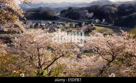 Affacciato sulla città di Kakunodate con la fioritura dei ciliegi in fiore in primavera, Akita, Tohoku, Giappone Foto Stock