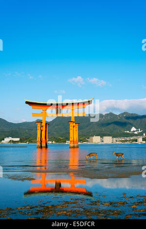 Asia, Giappone, Honshu, Prefettura di Hiroshima, l'isola di Miyajima, torii gate di Itsukushima jinja sacrario scintoista, Unesco Foto Stock