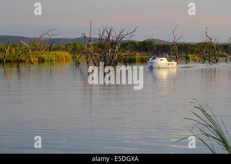 Una nave da diporto tornando alla barca la rampa di 'Lily Creek Laguna' in Kununurra, Western Australia. Foto Stock