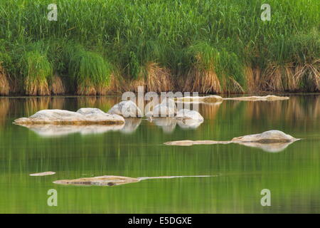 Il Llano River, vicino a giunzione in collina paese regione del Texas. Foto Stock