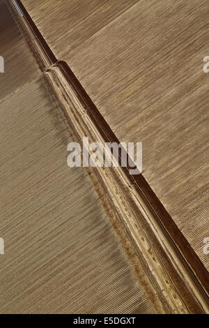 Una veduta aerea di una porzione dei campi dell'Ord River Area di irrigazione, Kununurra, Western Australia. Foto Stock