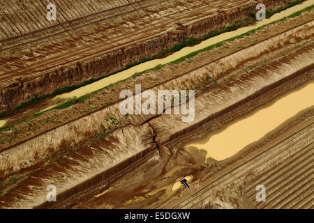 Una veduta aerea di una porzione dei campi dell'Ord River Area di irrigazione, Kununurra, Western Australia. Foto Stock
