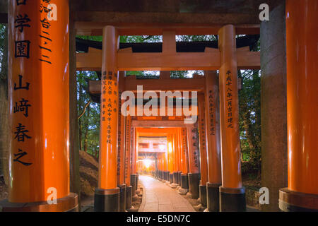 Asia, Giappone, Honshu, Kyoto, torii gate a Fushimi Inari Jinja; sacrario scintoista, Patrimonio Mondiale dell Unesco Foto Stock