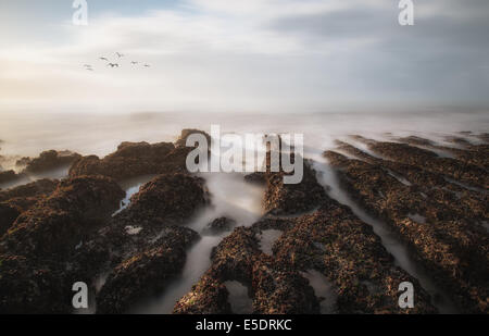 Banco di nebbia in mare con rottura sole attraverso Foto Stock