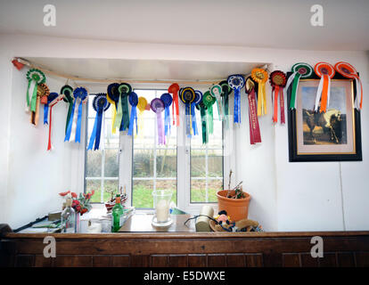 Horse Show rosette appeso in una casa colonica in Dorset Regno Unito Foto Stock