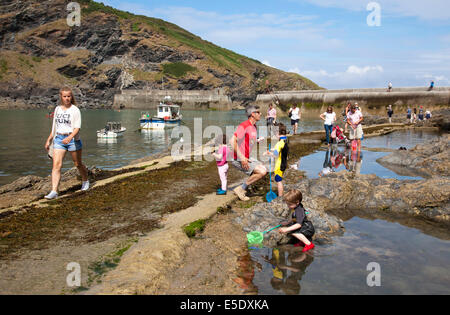 Port Isaac, Cornwall, Regno Unito. Il 29 luglio 2014. Famiglie il pooling di roccia in un giorno caldo e soleggiato in Port Isaac, Cornwall. Il villaggio è la posizione per le riprese di ITV Doc Martin credito serie: Mark Richardson/Alamy Live News Foto Stock