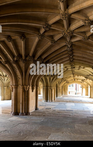 Archi sotto la cappella a Lincoln's Inn. L' onorevole Società di Lincoln' s Inn è uno dei quattro Inns Of Court di Londra Foto Stock