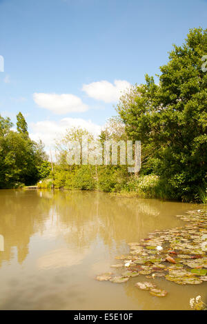 Lago di pesca nel campo Fram,East Sussex, Regno Unito Foto Stock