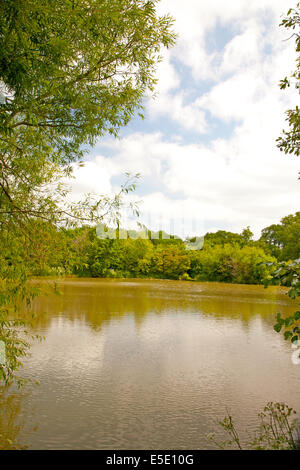 Lago di pesca nel campo Fram,East Sussex, Regno Unito Foto Stock