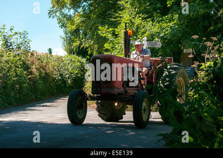 Agricoltore sul trattore vicino a greenway,South Devon, agricoltore, vecchio, agriturismo, uomo, 60s, agricoltura, macchinari, trattore, orizzontale, maschio, wor Foto Stock