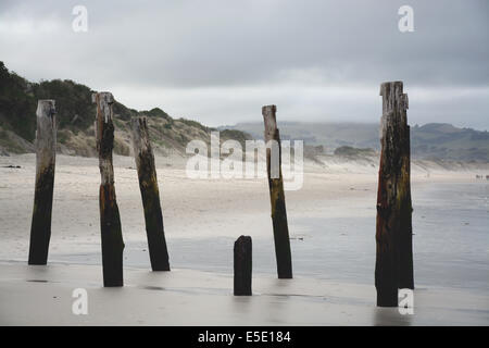 Il vecchio molo di St Clair spiaggia un giorno di tempesta, Dunedin, Nuova Zelanda Foto Stock