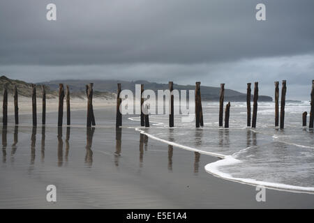 Il vecchio molo di St Clair spiaggia un giorno di tempesta, Dunedin, Nuova Zelanda Foto Stock