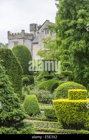 Topiaria da straordinari siepi nei giardini di Levens Hall, vicino a Kendal Cumbria, Foto Stock