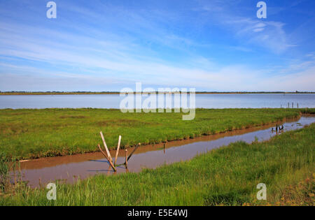 Una vista di Breydon Acqua su Norfolk Broads vicino a Great Yarmouth, Norfolk, Inghilterra, Regno Unito. Foto Stock