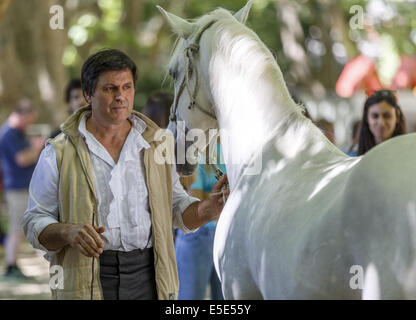 José Vintém e il suo cavallo lusitano di 'Baucher' un puro sangue Lusitano Foto Stock